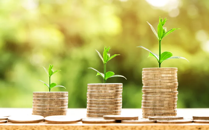 اهمیت مشاوره فناوری اطلاعات در ارتقای بهره‌وری کسب‌وکارها